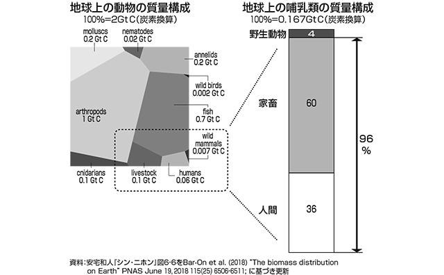 地球上の動物の質量構成比