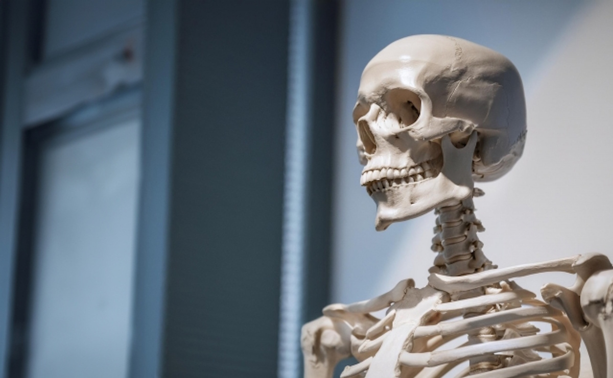 【22世紀の人間像研究会】人間の身体の「解釈」はどこまで変わっていくのか（１）