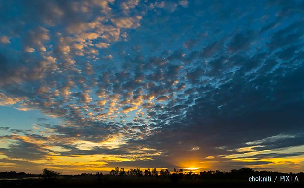 コレラ大流行と細菌戦の関係